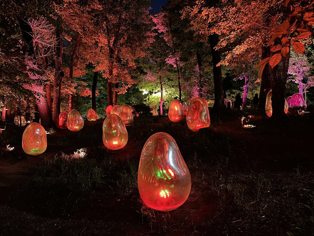 These are the same mirrored schmoos they have at TeamLab Planets, except there are way more of them and they’re in a real forest #teamlabacornforest