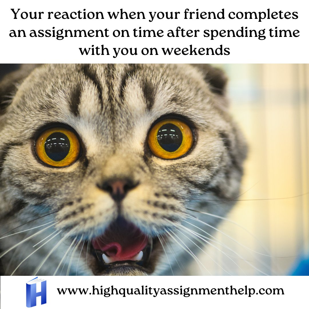 hqah_edu's tweet image. When your friend is a time-management wizard and somehow finds a way to ace their assignment AND have a social life.
#TimeManagementGoals #FriendshipGoals #AcademicSuccess #WorkLifeBalance #MultitaskingPro #SocialLife #AcademicAchievement #BalancedLifestyle #Efficiency