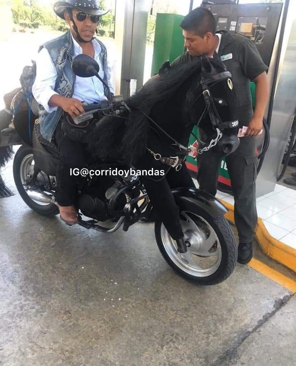 corridosybandas's tweet photo. Échale $100 de Alfalfa https://t.co/w8KyyHgiGC