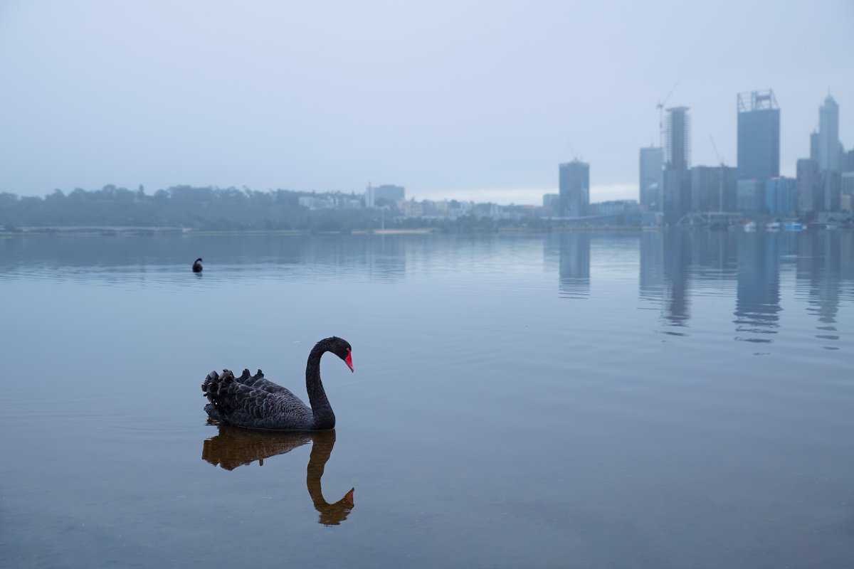 NATUREBYNATHAN's tweet photo. Perth city has been showing off lately! #Swanriver #perth #seeaustralia #wathedreamstate @WestAustralia @Australia https://t.co/X6V2UX2pnE