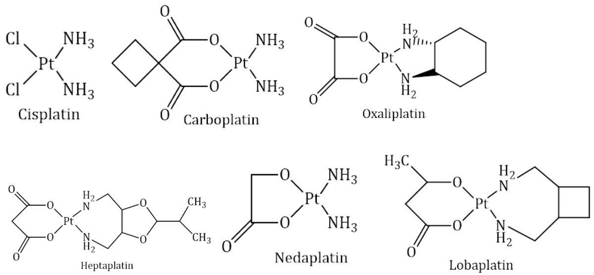 Molecules_MDPI's tweet image. 📌#cancer #metalcomplexes #platinum #copper #ruthenium
New Publication “Metallo-Drugs in Cancer Therapy: Past, Present and Future”
By: Adriana Corina Hangan, et al. 
👉mdpi.com/1420-3049/27/1… 
#mdpimolecules #NewPublication