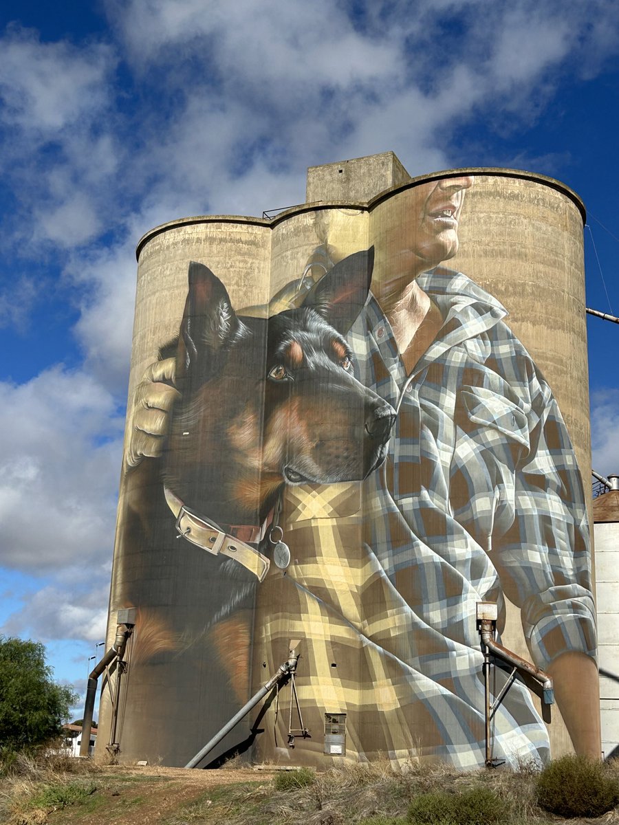 SandyWatson555's tweet photo. Back in the hood. Love what these do for regional towns #artsilos #nullawil https://t.co/YYXRxDOEmx