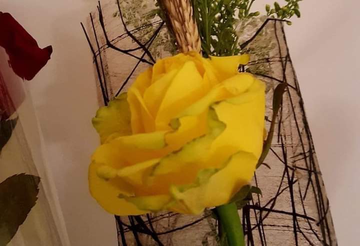 Arnau Cabeza Garrido tweet media