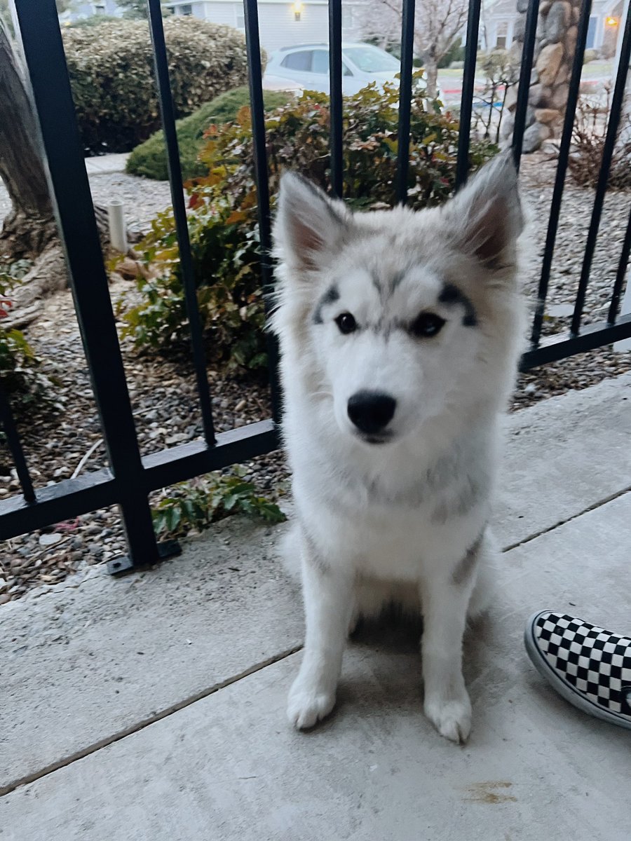 Nandooooo tweet media