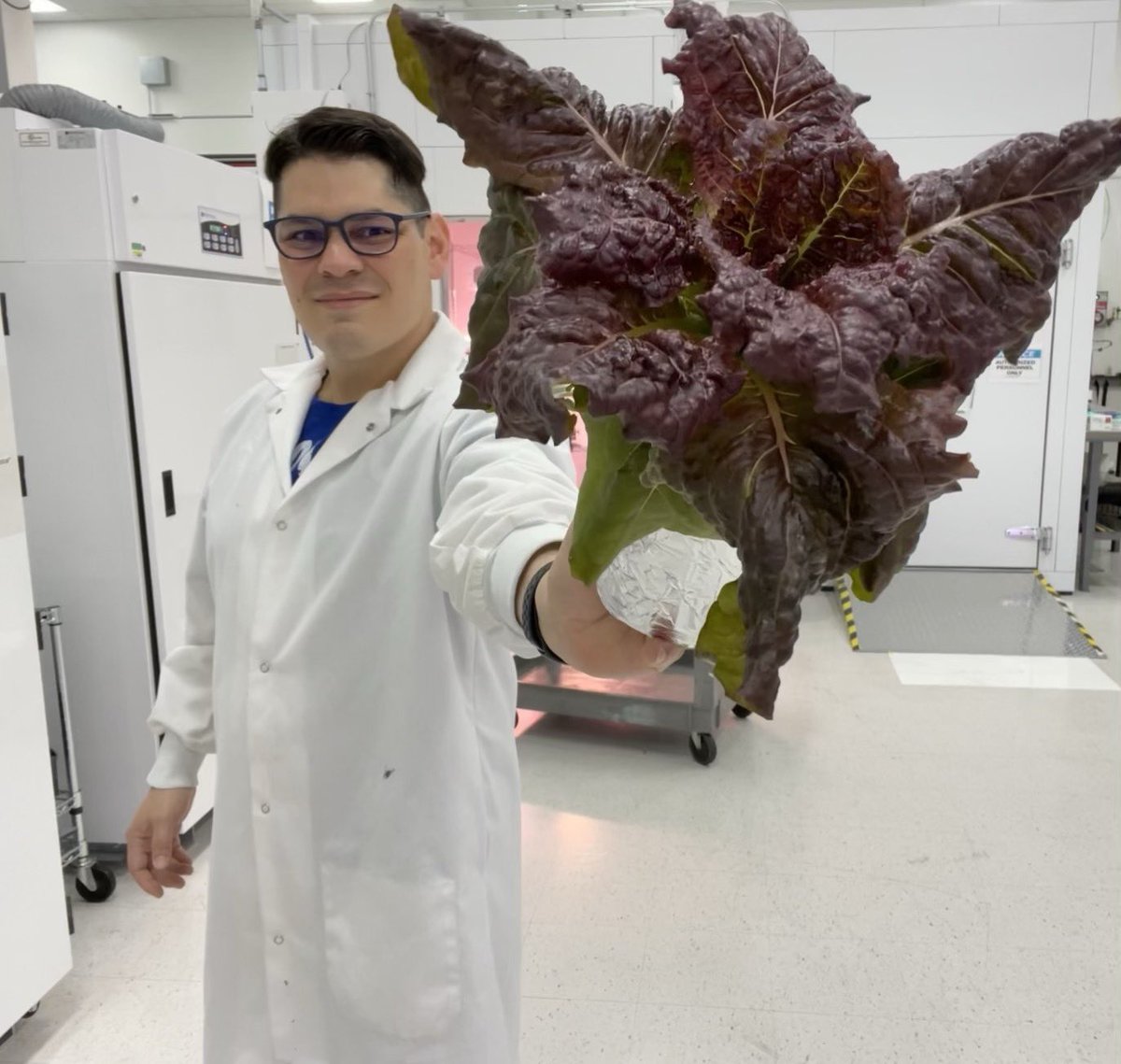 Jacob Torres (@jacobikaros) on Twitter photo My Hydroponic Banksy Jar🫙explodes lettuce on harvest day! We’re doing a 3D printed materials plant growth experiment at <a href="/NASAKennedy/">NASA's Kennedy Space Center</a> <a href="/plantsinspace/">Gioia Massa</a> and I make up a good team 🌱🚀 #nasa #3dprint #spacebiology #veggie #aph #controlledenvironmentagriculture #scientist #engineering My Hydroponic Banksy Jar🫙explodes lettuce on harvest day! We’re doing a 3D printed materials plant growth experiment at <a href="/NASAKennedy/">NASA's Kennedy Space Center</a> <a href="/plantsinspace/">Gioia Massa</a> and I make up a good team 🌱🚀 #nasa #3dprint #spacebiology #veggie #aph #controlledenvironmentagriculture #scientist #engineering