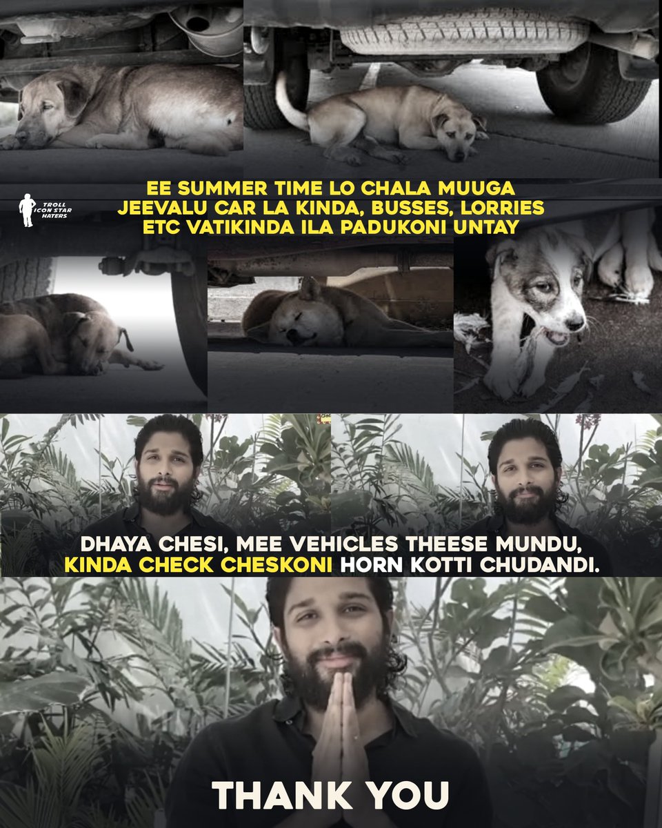 IconicTrolls_'s tweet photo. Attention , Please take a look on this ..
#SaveAnimals ❤️🙌 https://t.co/Q5Z876dy7V