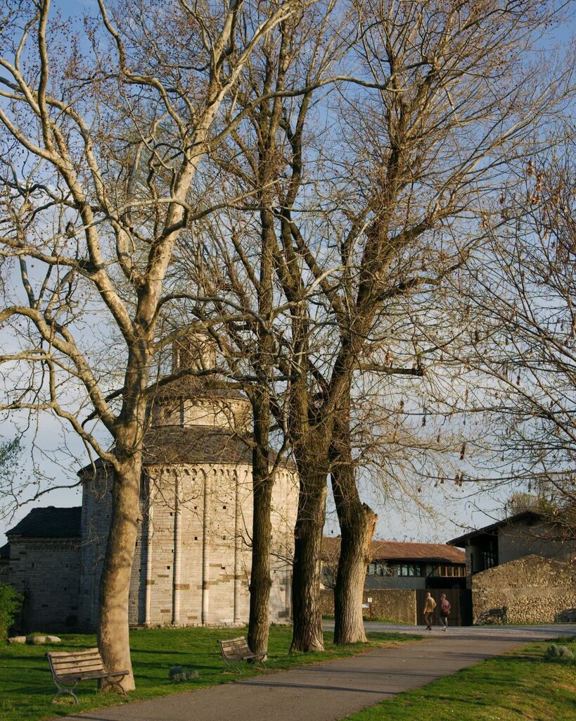stefano_des's tweet photo. San Tomé e i pioppi
Almenno San Bartolomeo BG
aprile 2023

#pioppi #rotondadisantome #chiesaromanica #architetturaromanica #romanico #almennosanbartolomeo #lemine #valleimagna #bergamo #visitbergamo #inlombardia https://t.co/nn62CxpU2L https://t.co/dtMYUnBAub