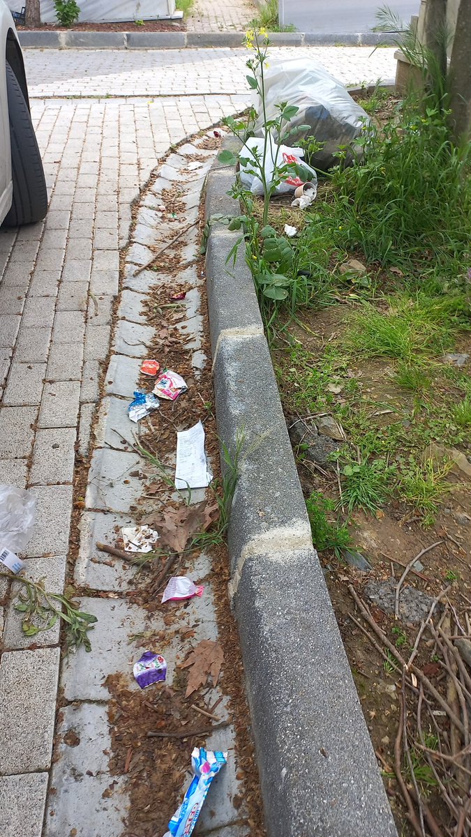 ZOzatay1907's tweet photo. Hiçbir zaman hasdal mezarlığını boyle görmemiştim haftanın 3 günü hiç aksatmadan ziyaret ederim böyle bir pislikr rezillik asla görmedim üç gün ziyaret etmedim yazıklar olsun sizlere.otlar alınırdı
Güvenlik.acisinda çok teşekkür ederim
#mezarliklarmudurlugu
#hasdal https://t.co/07mq9qmRDw