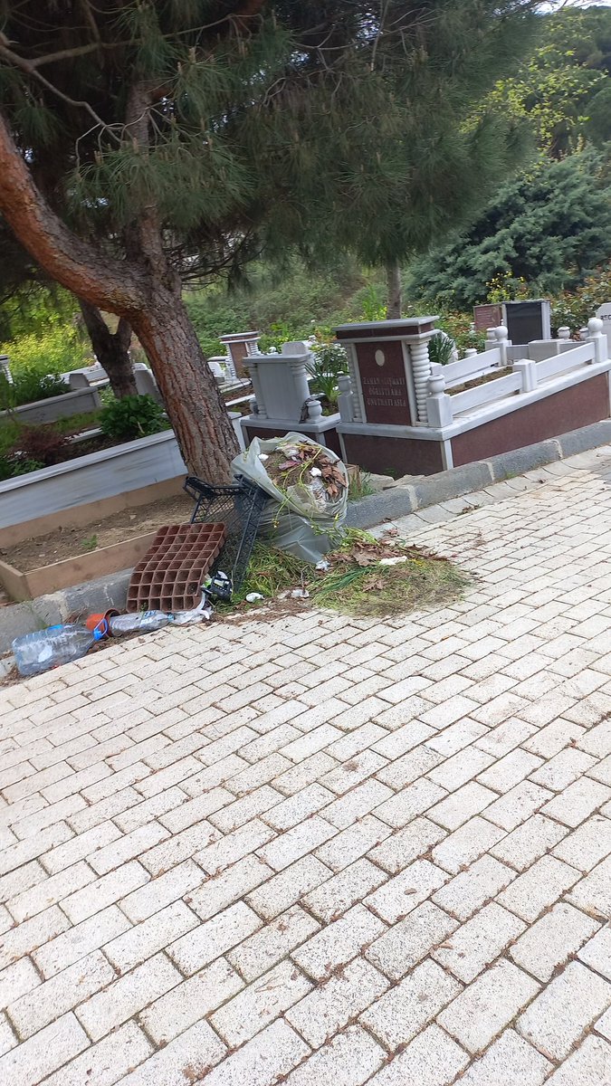 ZOzatay1907's tweet photo. Hiçbir zaman hasdal mezarlığını boyle görmemiştim haftanın 3 günü hiç aksatmadan ziyaret ederim böyle bir pislikr rezillik asla görmedim üç gün ziyaret etmedim yazıklar olsun sizlere.otlar alınırdı
Güvenlik.acisinda çok teşekkür ederim
#mezarliklarmudurlugu
#hasdal https://t.co/07mq9qmRDw