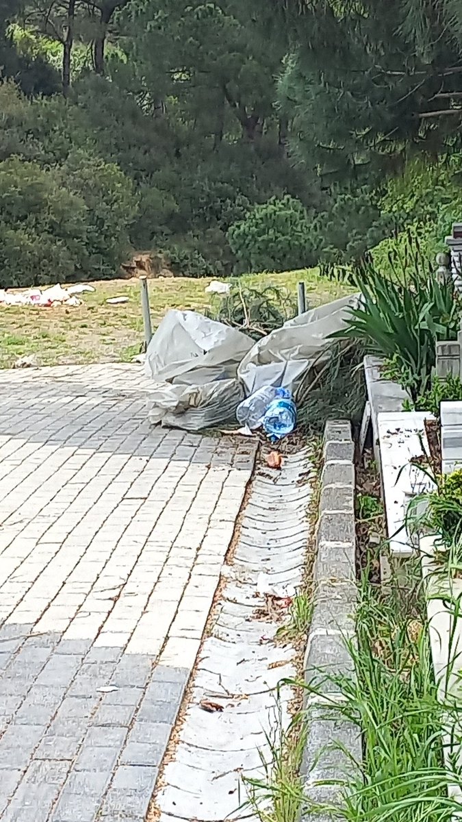 ZOzatay1907's tweet photo. Hiçbir zaman hasdal mezarlığını boyle görmemiştim haftanın 3 günü hiç aksatmadan ziyaret ederim böyle bir pislikr rezillik asla görmedim üç gün ziyaret etmedim yazıklar olsun sizlere.otlar alınırdı
Güvenlik.acisinda çok teşekkür ederim
#mezarliklarmudurlugu
#hasdal https://t.co/07mq9qmRDw