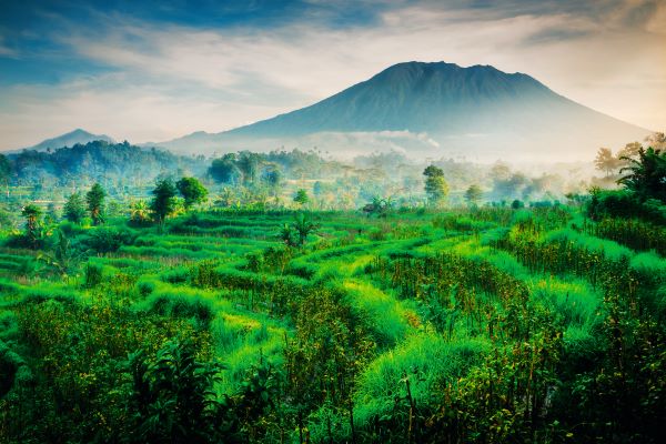 trifargo's tweet photo. 20 destinations for the perfect honeymoon
https://t.co/P4Jd3NFwgE

With so many incredible destinations around the world, it can be hard to decide on that perfect honeymoon location. That’s why we’ve narrowed it down to our top 20.
Let’s face it: the honeymoon is one of... https://t.co/j8DPuaJ7nA