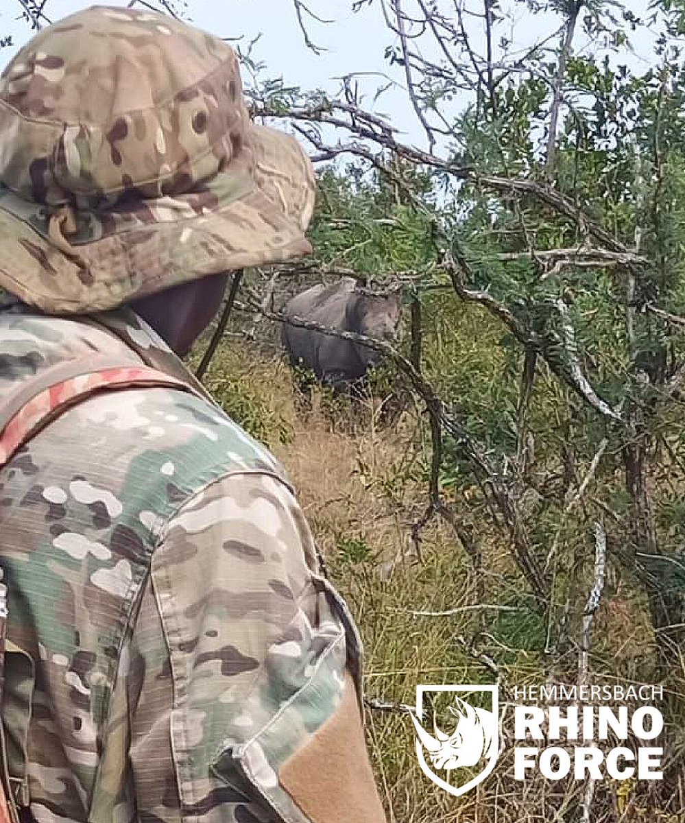 Boots on the ground on foot patrol in the dense South African bush, face-to-face with one of the largest land mammals on earth. A tense and exciting experience, where you really should know what you are doing! 

#hemmersbach #rhinoforce #antipoaching #directaction #southafrica