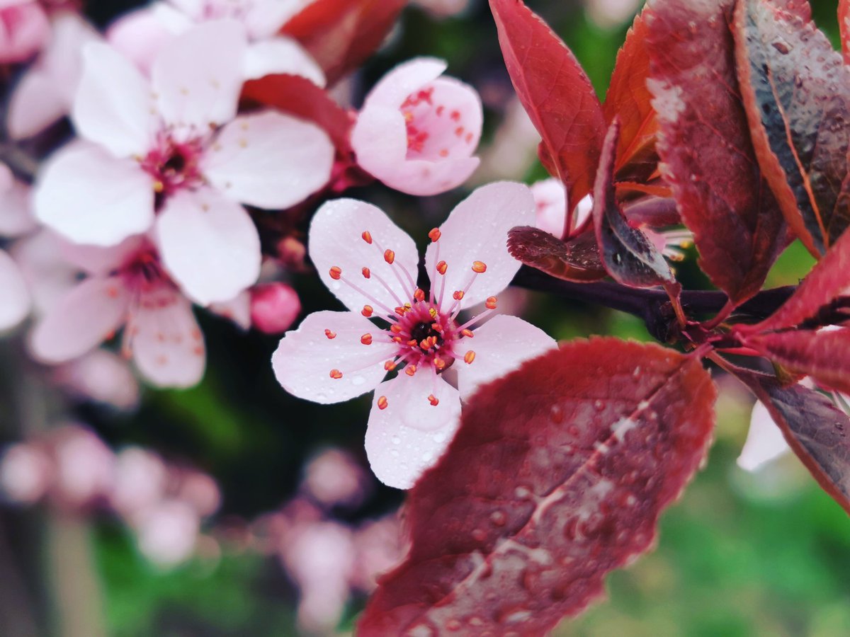 ylllayllla's tweet image. 