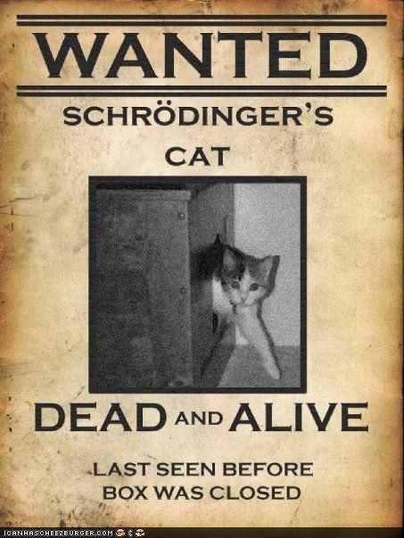 ThePhysicsMemes's tweet photo. The cat isn’t dead or alive it’s both #majoring
#school https://t.co/lGIreZcWuo