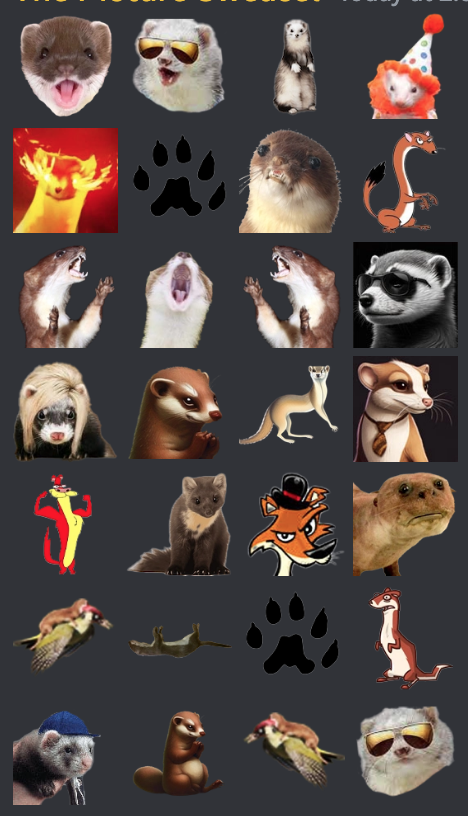 SWZ community is constantly growing on #Hedera! There are lots of other #Sweasels to connect with in our #Discord server.. and this Sweasel has been busy cooking up all the fun #Emoji to express yourself with swease! Send us your fav #Sweasel and we'll emojify it for the Discord!