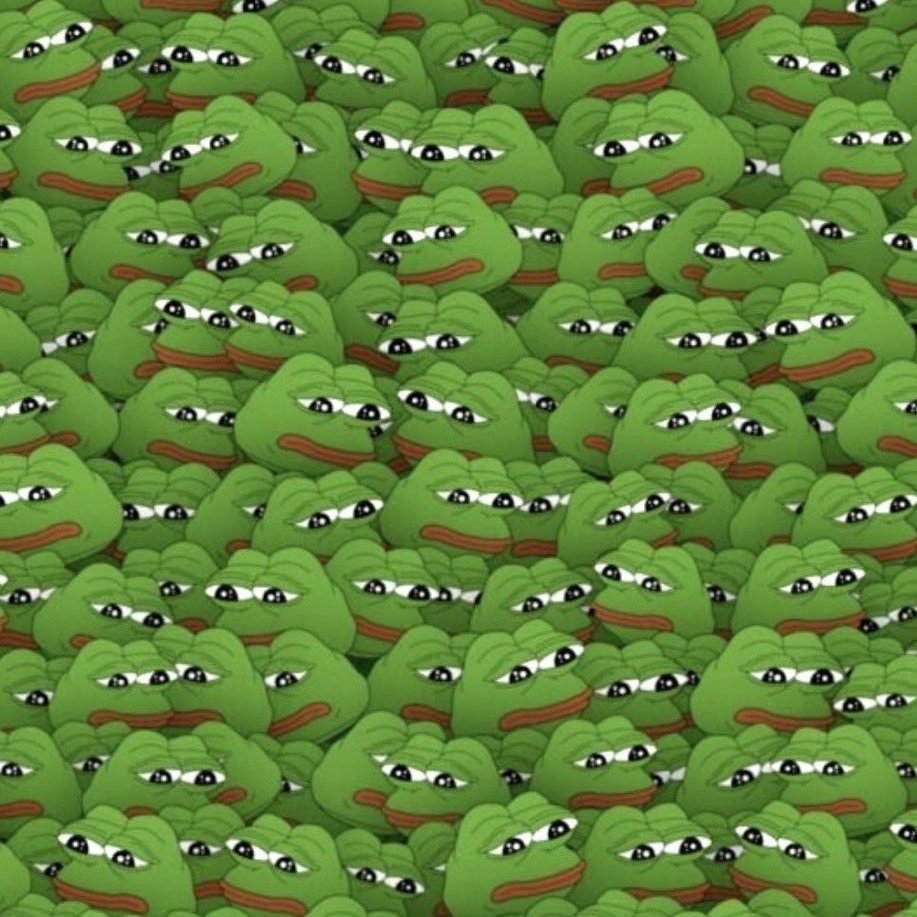 My twitter feed since last week: