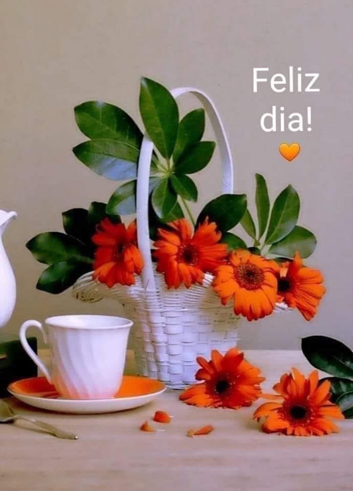 IsabelBlancoL's tweet photo. Buen día a Barcelona en especial y que cada mañana regalemos una 🌹 rosa en nuestro saludo con un café ☕️🌹 https://t.co/3Qv0sr7P2a