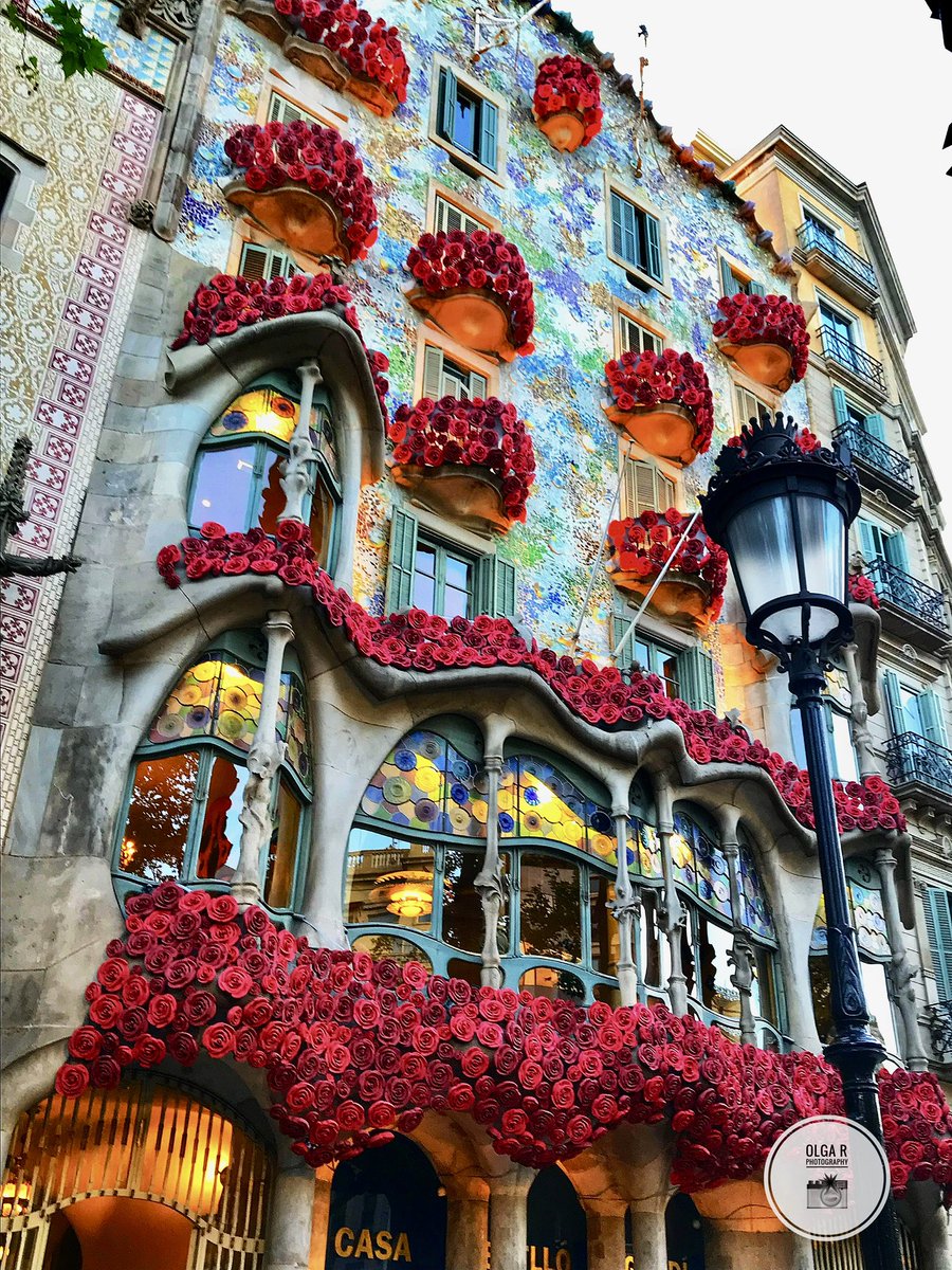 olgarodgon's tweet photo. “Un lector vive mil vidas antes de morir. La persona que nunca lee vive solamente una…”  Por eso creo que regalar un libro es regalar vida ! 
#SantJordi2023  🌹#DiadelLibro2023 📚 https://t.co/Iw3QWaX0JU