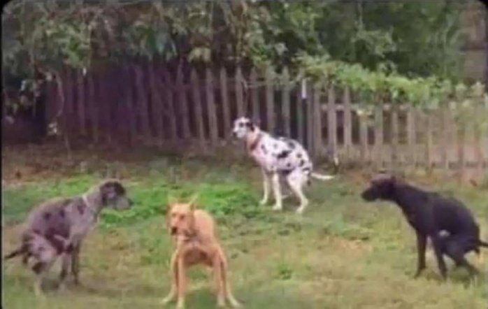 donaddyson's tweet photo. Na mjue gari haitasimama tena 😂😂 https://t.co/aInASAdFsv