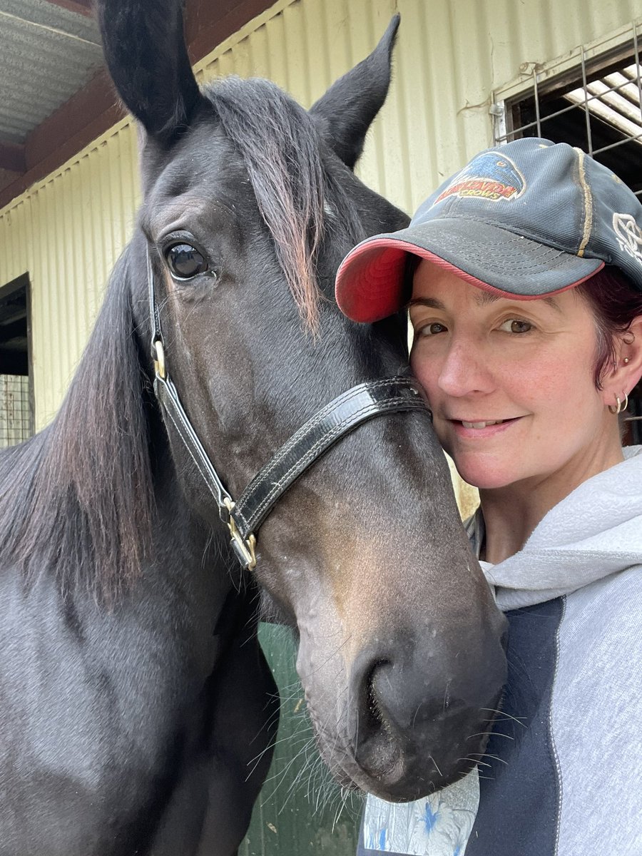 redwhitegrnteam's tweet photo. Saying hello to my girl from the sale. Introducing Pip. (Aldebaran Eagle - Regal Pepperell) @NutrienEquineSB #yearlingsoftwitter https://t.co/zzYdzTW9zG