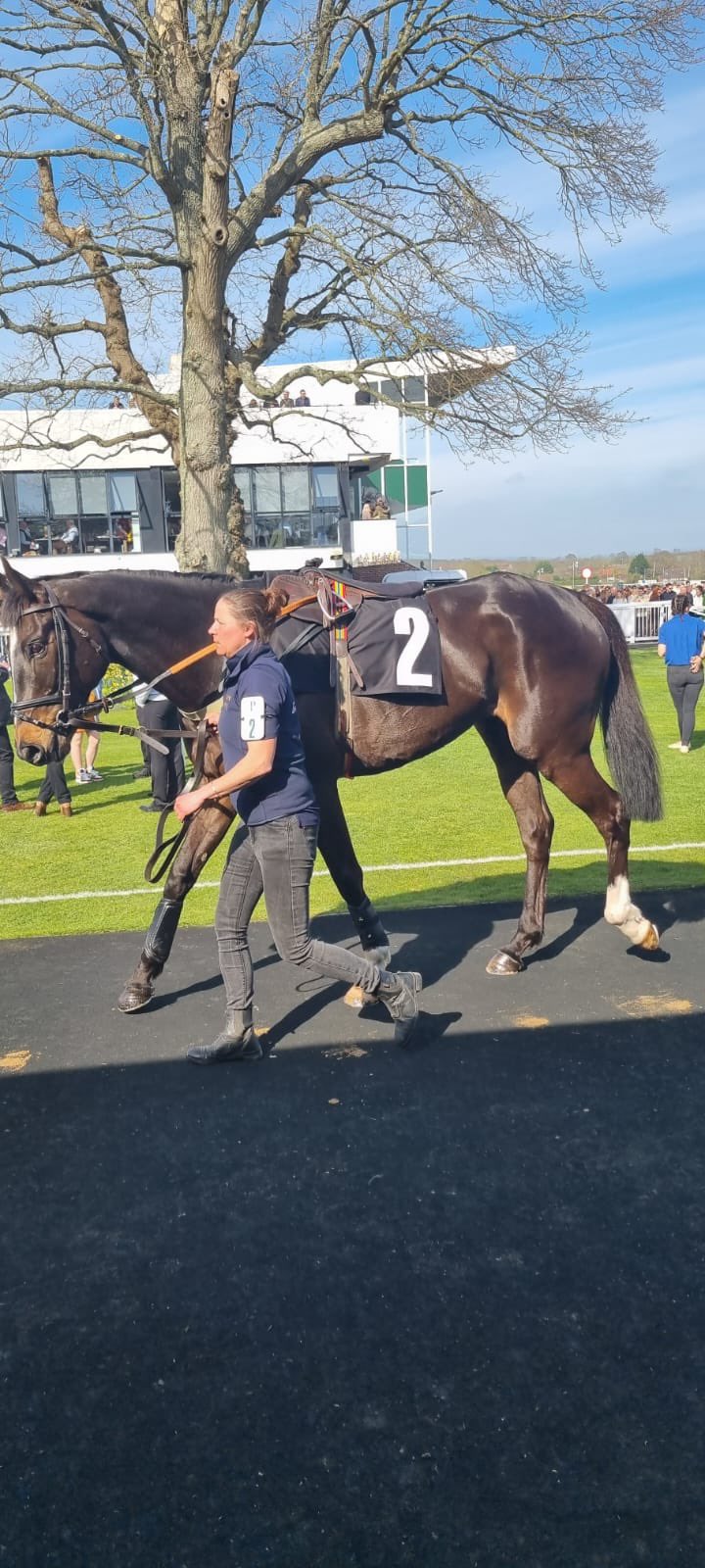 Chris Gordon Racing (@Chrisgordonrac1) / Twitter