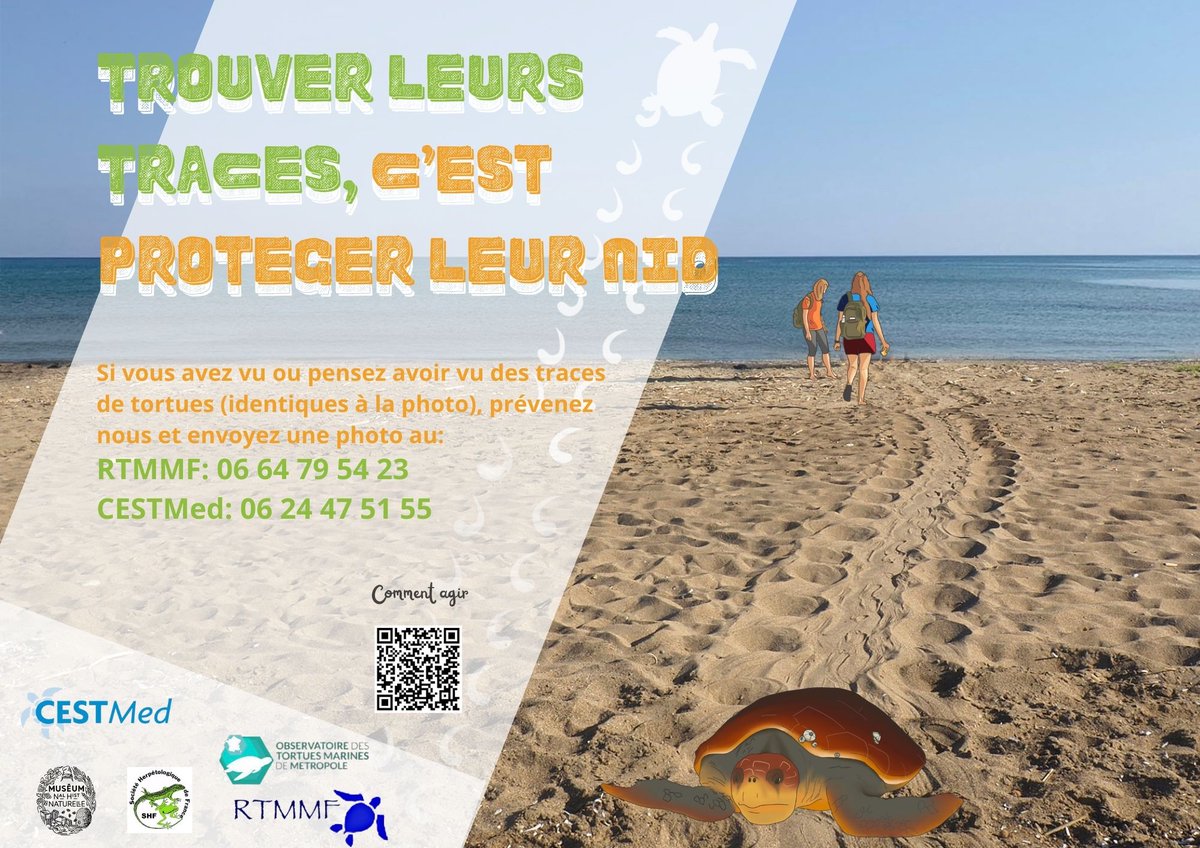 villedefos's tweet photo. 🐢 À l'approche de la période de nidification des tortues (juillet et août) soyons vigilent et protégeons les ! 📸 Si vous avez vu ou pensez avoir vu des traces identiques à la photo, prévenez #CESTMed au 06 24 47 51 55 ou #RTMMF au 06 64 79 54 23 en envoyant une photo. https://t.co/GHuNl9RZup