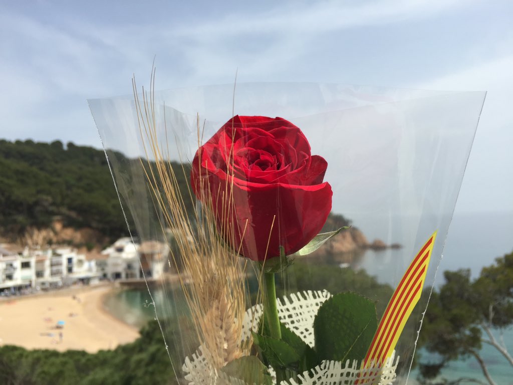 Feliç Diada de Sant Jordi 🌹