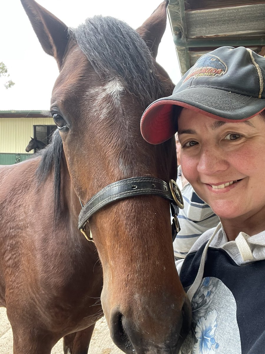 redwhitegrnteam's tweet photo. Checking up on my boy from the sale. Coming along nicely. Introducing Spencer (Love You - Betty Hall) @NutrienEquineSB #yearlingsoftwitter https://t.co/WmTmWTutkf