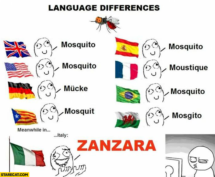 Now you should be able to remember how to say mosquito in Italian. #learnitalian #italianlanguage #langtwt