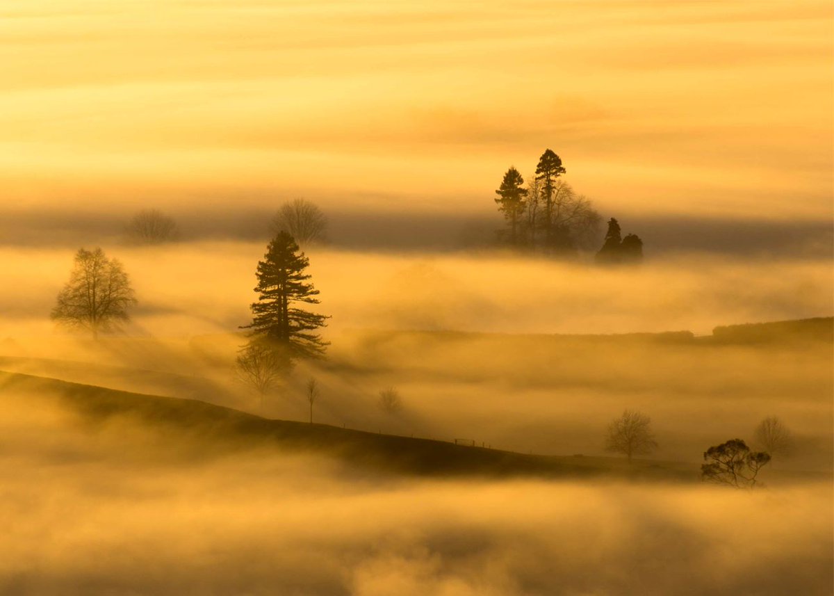adfphotography2's tweet photo. Foggy mornings are so epic for photography! Especially if you can get above the fog like I was lucky enough to do during this sunrise! https://t.co/g2g7bvb8UR