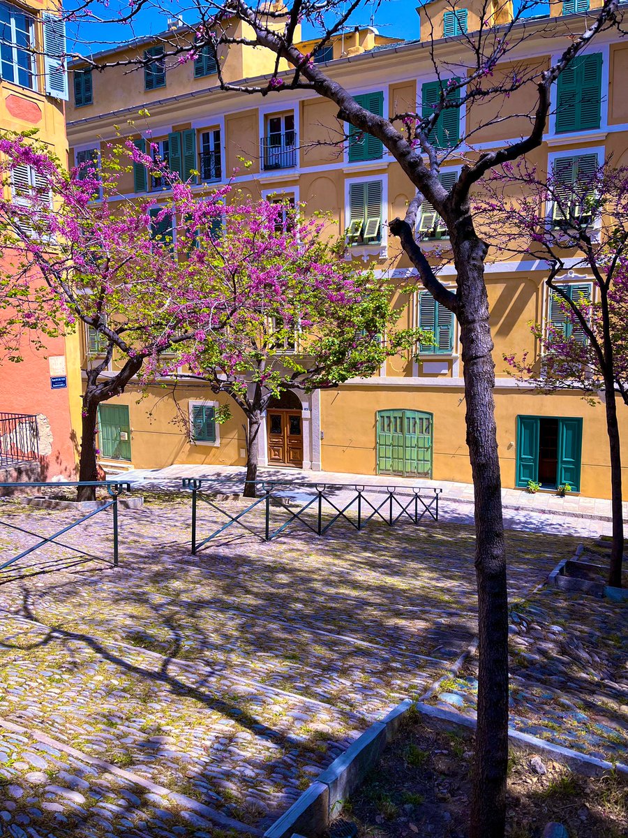Jeux d’ombres et de lumières au cœur du printemps bastiais