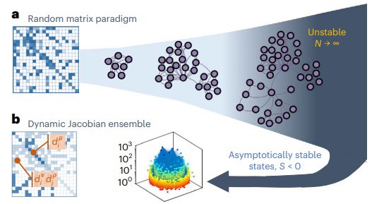 Phy_IISERTVM's tweet photo. Dynamic stability of different systems is often considered as a very intricate phenomenon.
The study conducted by Dr Chandrakala Meena and Coworkers solves 50-year-old puzzle in Large and heterogeneous #complexnetwork &amp; it is published in @NaturePhysics.

https://t.co/rrx4YWIZ48 https://t.co/iiKXRe8nYu