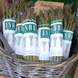 AshbyAsparagus's tweet photo. Here at Ashby Asparagus, we are always aiming to educate the public about the superior vegetable that is Asparagus. Be sure to follow us on Facebook or Instagram for a more in-depth look at why we think Asparagus should be part of everyone's diet.
#ashbyasparagus #polebrook https://t.co/NcmXaQdh94