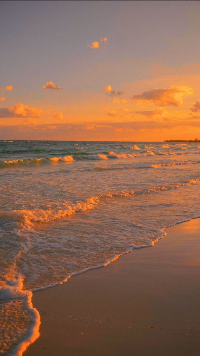 piitures's tweet photo. Walks by the ocean https://t.co/8lhgjordw4