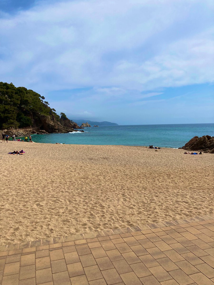 JessicaFillol's tweet photo. Un domingo cualquiera en cualquier playa de la Costa Brava, si hubiera un peaje urbano PARA SALIR de Barcelona #SantJordi #PixapinsGoHome https://t.co/rxAXQkOZbK