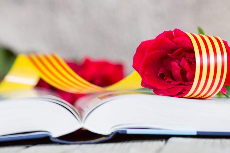 Bona Diada de Sant Jordi! 

📚🌹🐉