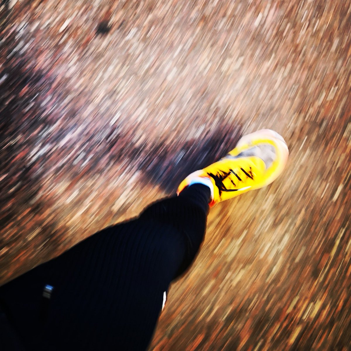 JesusTrelis's tweet photo. Pues ya hemos despertado con una #Valencia espectacular. Nuestros 21,1km del domingo y #Seguimos. Porque en la vida siempre hay que #seguir. Con absoluta pasión, tranquilidad y libertad. Hasta el final, #disfruta. #Retos2023 #running #halfmarathon #marathon 🤩🏃🏻♀️🏃🏼♂️🏃🏽🐌 https://t.co/rdIJxEvDdN