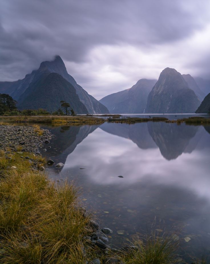 Ahhhh take me back to Milford Sound 💜