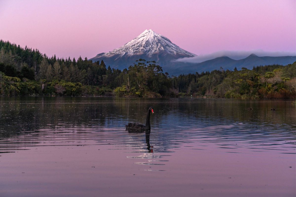 I didn't mind this wee photo bomber! 😁