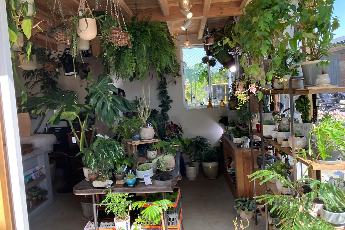 世田谷代田駅の裏手にgreen&garden「Hachi」が、プレオープン。観葉