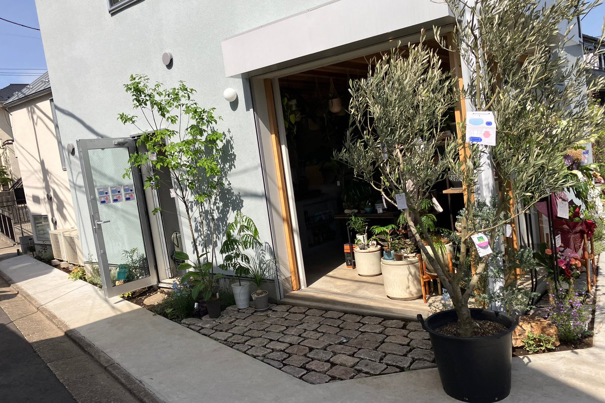 世田谷代田駅の裏手にgreen&garden「Hachi」が、プレオープン。観葉