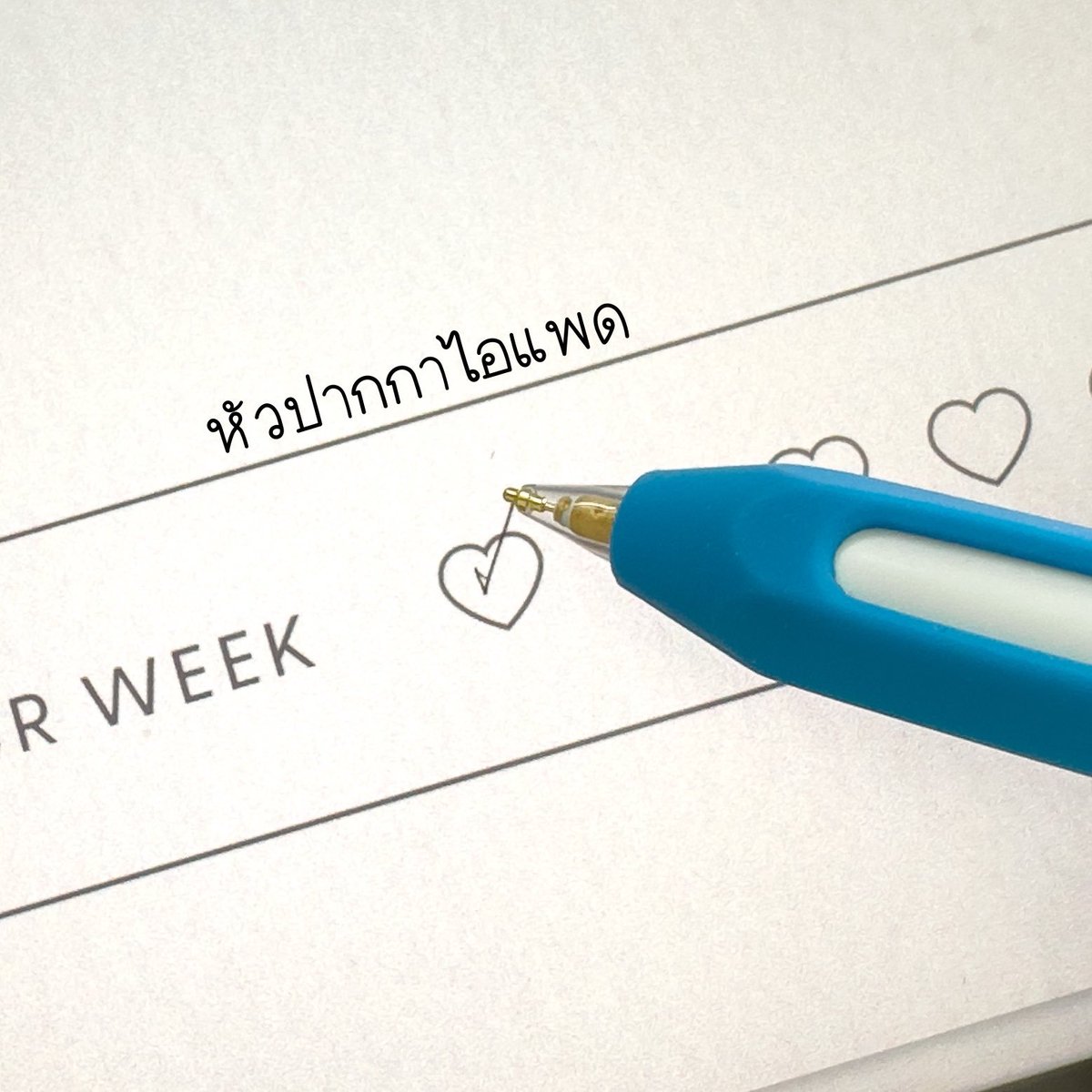 ลูกแก้วและหมาของเขา tweet media