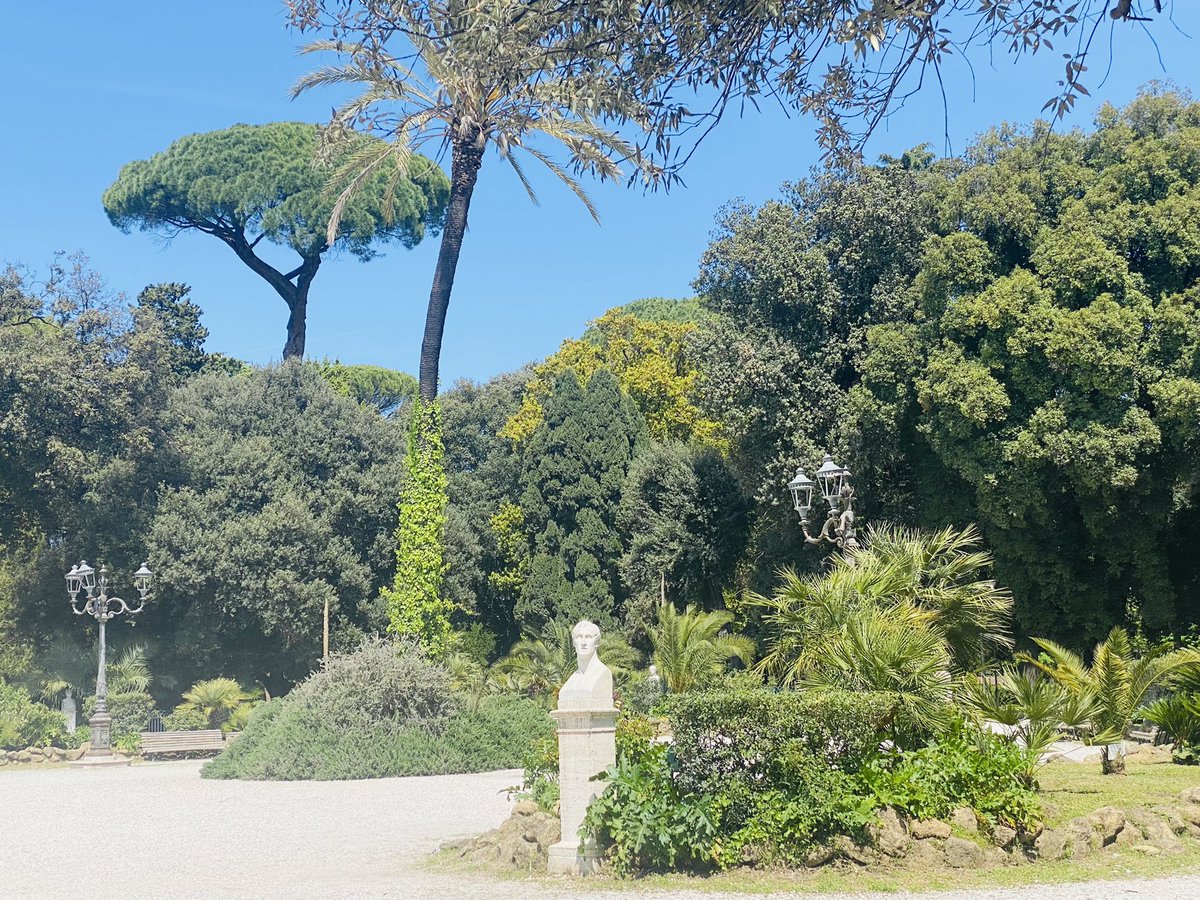 Aymdegouvion's tweet photo. #ROME
Quel privilège d’assister à la traditionnelle audience papale….@Pontifex_fr
Douceur des promenades sur les rives du #Tibre, Effervescence baroque autour de la Fontaine de Trevi, Lumières des jardins de la #Villaborghese…Rome est un songe! https://t.co/TxbcnFmLVB