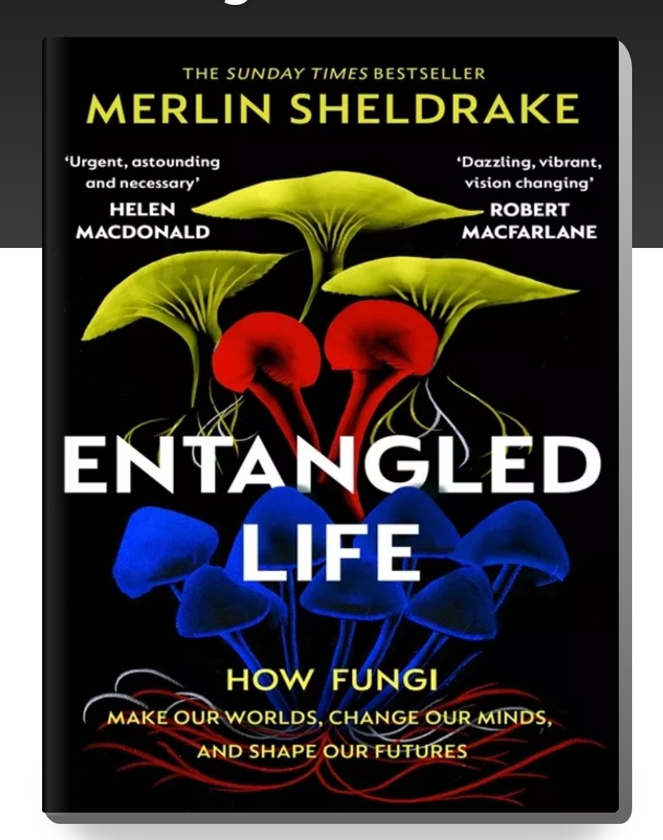 A year older tweet media