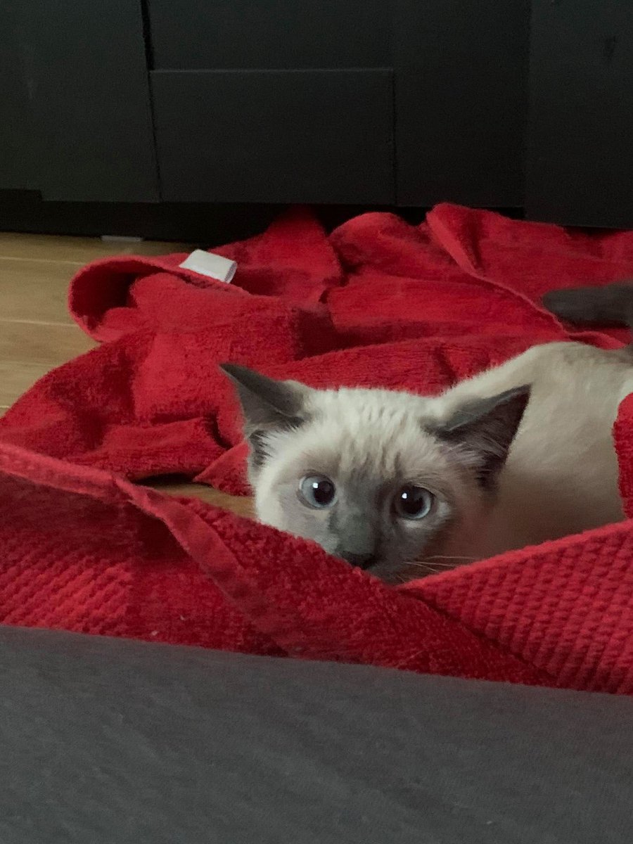 Il y a 3 ans lus rentrait dans ma vie ❤️🥰