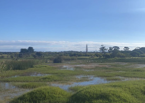 dscribenews's tweet photo. A mysterious smell on the Mornington Peninsula is impacting residents and the housing market: https://t.co/QLTK3AHT7U https://t.co/VBUesY4NfM