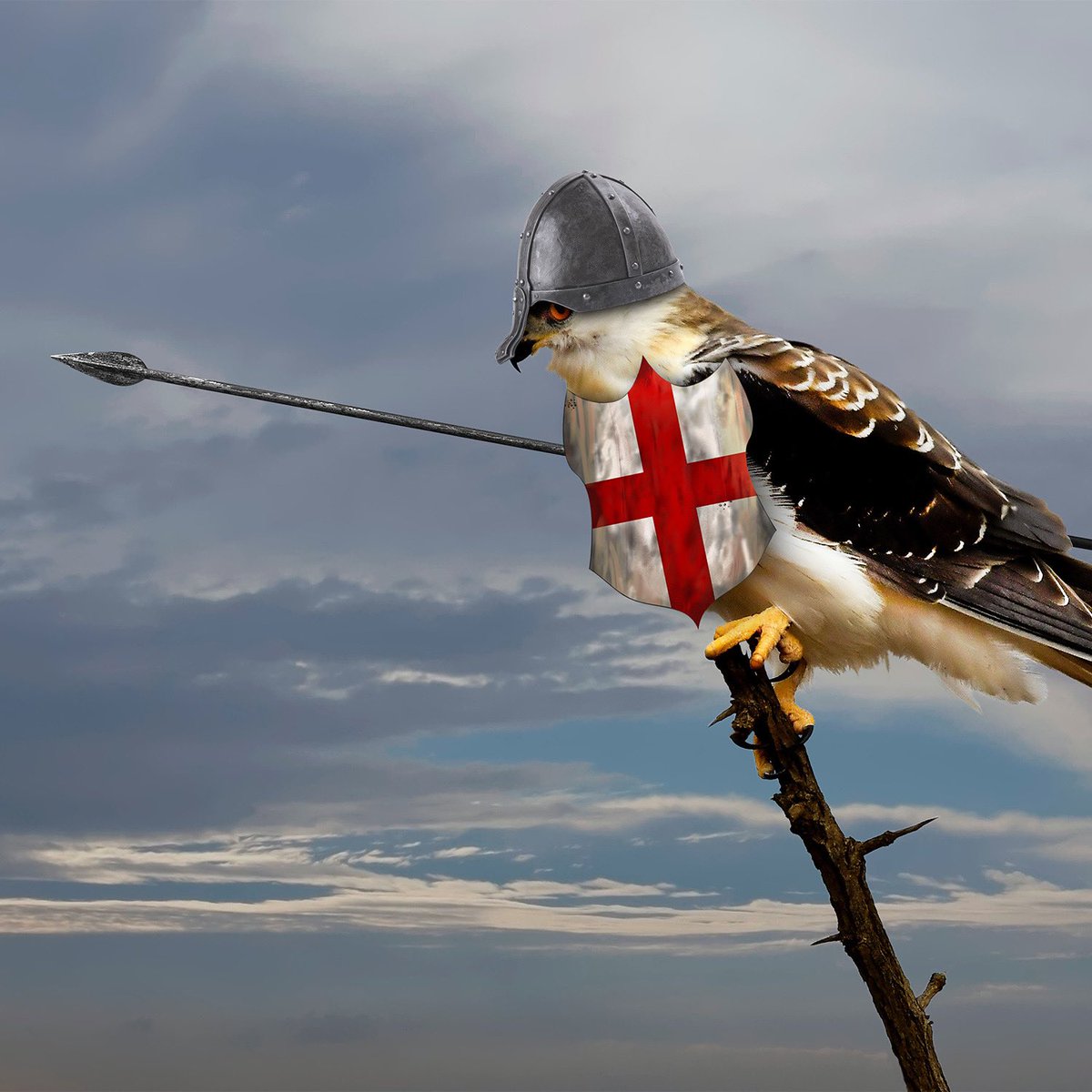 TalentHawk tweet media