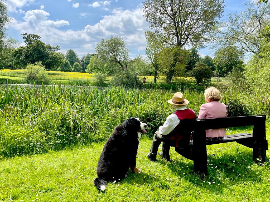 President of Ireland tweet media