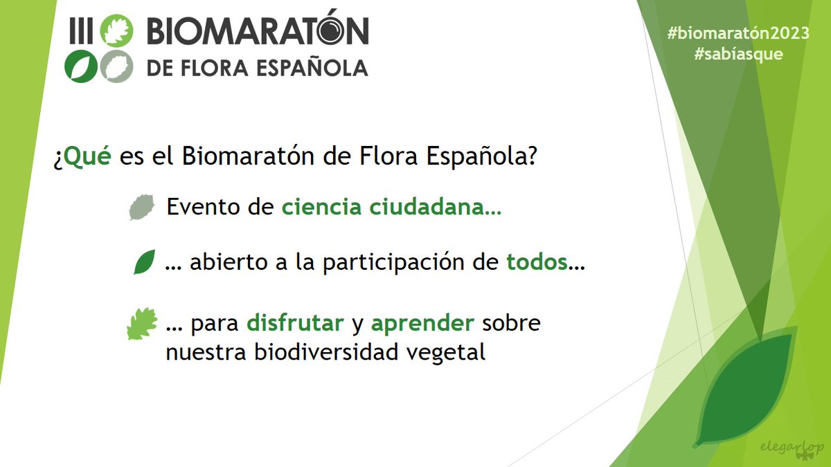 biomaraton's tweet photo. Buenos días! Por si habéis estado muy liados esta semana, os dejamos aquí las primeras informaciones sobre la celebración del #Biomaratón2023. 
👇 https://t.co/INB3W6lcDH