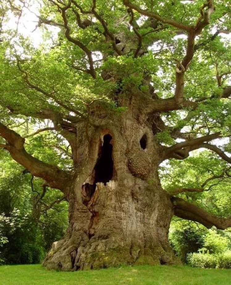 The Pride of the Kingdom of Kent, and England’s Glory 🏴󠁧󠁢󠁥󠁮󠁧󠁿